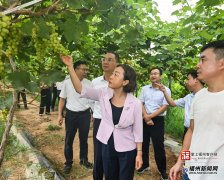 保用火用气用电绝对平安